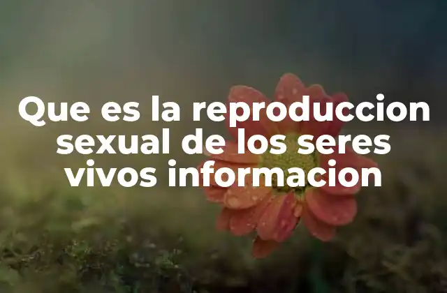 Que es la Reproduccion Sexual de los Seres Vivos Informacion