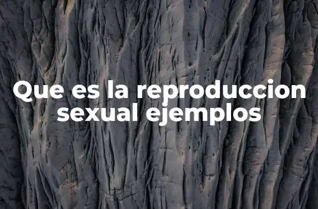 Diferencias entre reproducción sexual y asexual