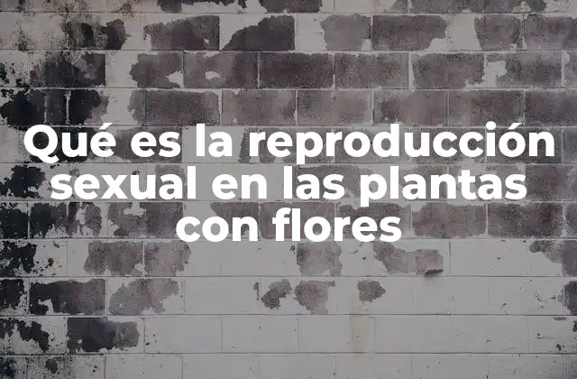 Qué es la Reproducción Sexual en las Plantas con Flores