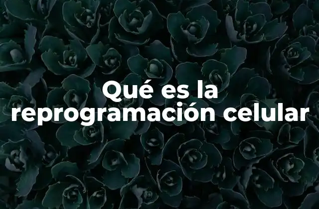 Qué es la Reprogramación Celular