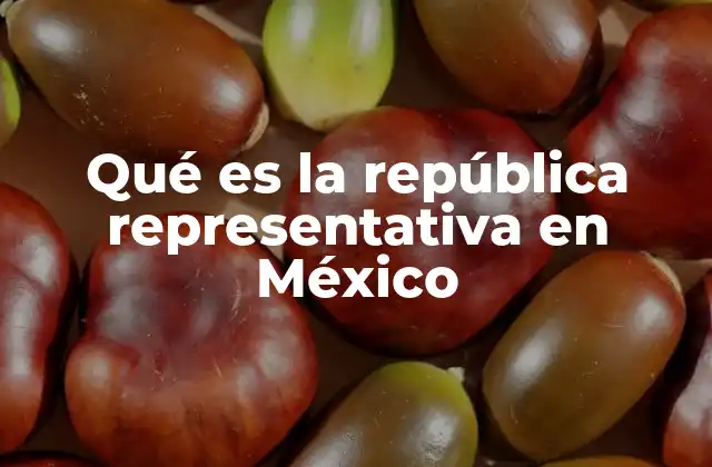 Qué es la República Representativa en México 2 Cómo funciona la república representativa en la estructura política mexicana