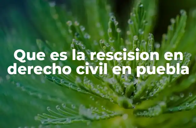 Que es la Rescision en Derecho Civil en Puebla