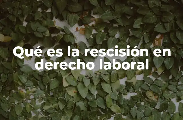 Qué es la Rescisión en Derecho Laboral