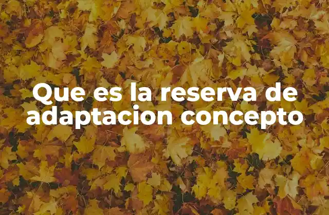 Que es la Reserva de Adaptacion Concepto