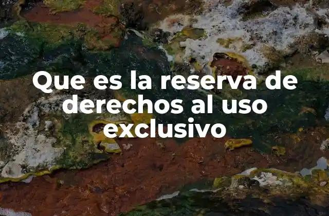 Que es la Reserva de Derechos Al Uso Exclusivo