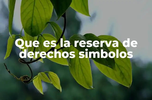 Que es la Reserva de Derechos Simbolos