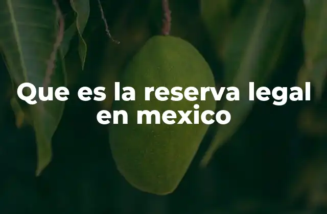 Que es la Reserva Legal en Mexico