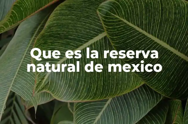 Que es la Reserva Natural de Mexico