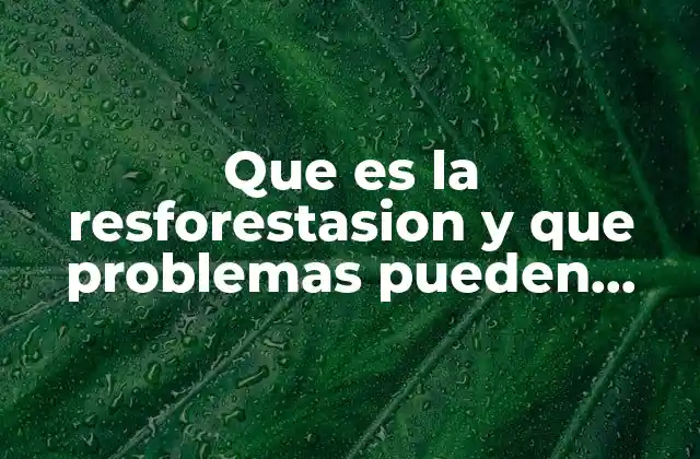 Que es la Resforestasion y que Problemas Pueden Ocasionar