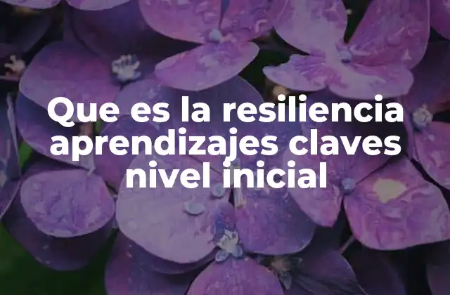 Que es la Resiliencia Aprendizajes Claves Nivel Inicial