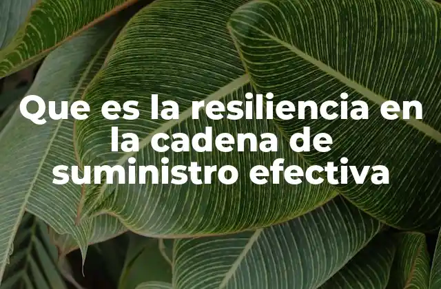 Que es la Resiliencia en la Cadena de Suministro Efectiva