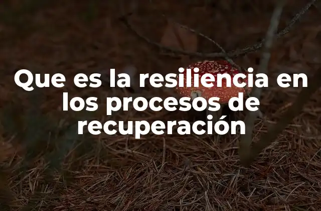 Que es la Resiliencia en los Procesos de Recuperación