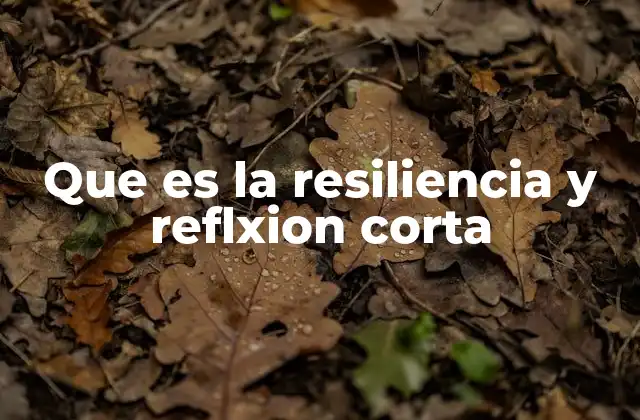 Que es la Resiliencia y Reflxion Corta