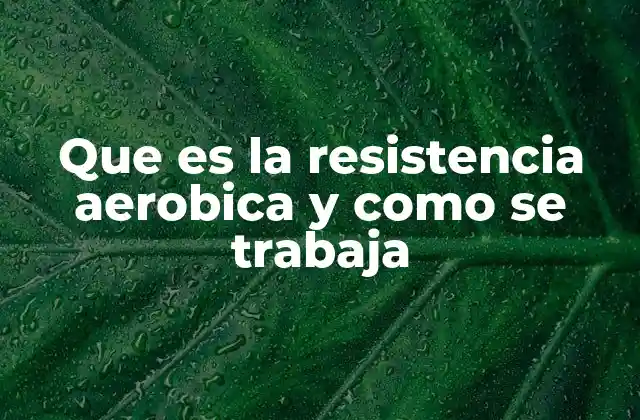 Que es la Resistencia Aerobica y como Se Trabaja