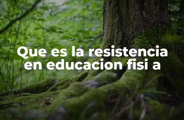 Que es la Resistencia en Educacion Fisi a