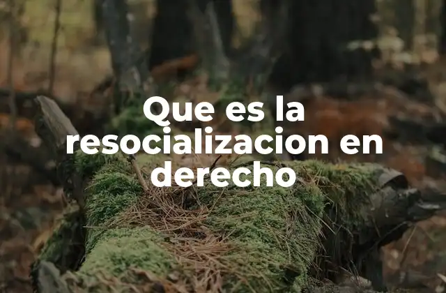 Que es la Resocializacion en Derecho
