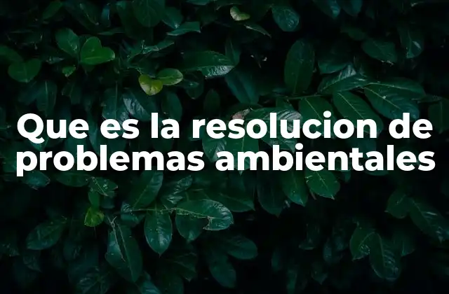 Que es la Resolucion de Problemas Ambientales