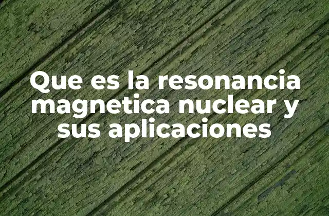 Que es la Resonancia Magnetica Nuclear y Sus Aplicaciones