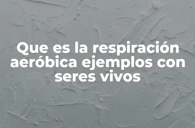 Que es la Respiración Aeróbica Ejemplos con Seres Vivos