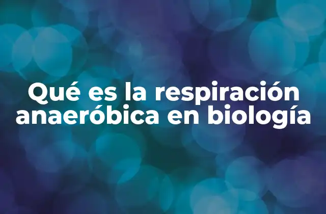 Qué es la Respiración Anaeróbica en Biología