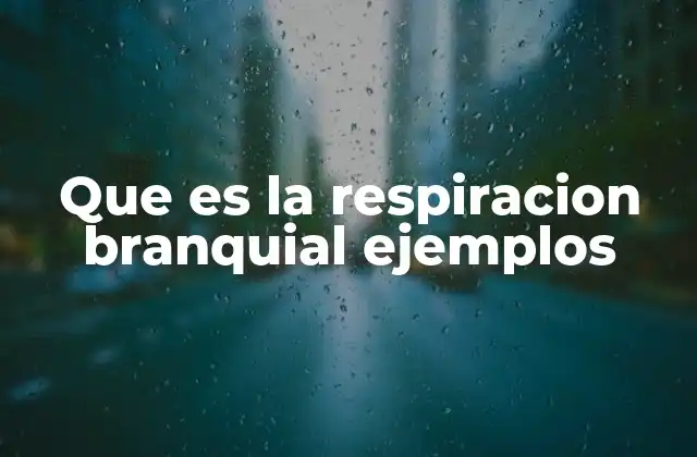 Que es la Respiracion Branquial Ejemplos