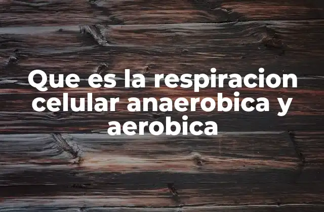 Que es la Respiracion Celular Anaerobica y Aerobica