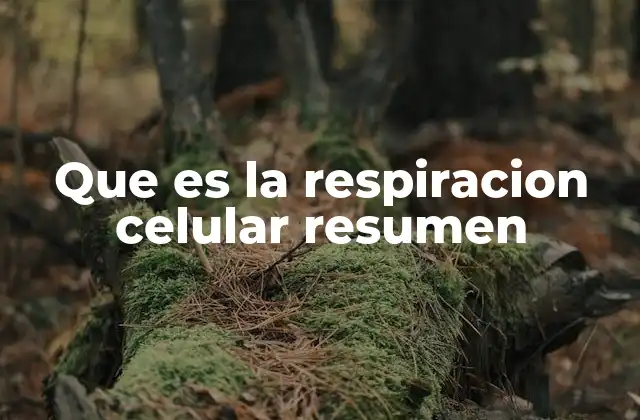Que es la Respiracion Celular Resumen