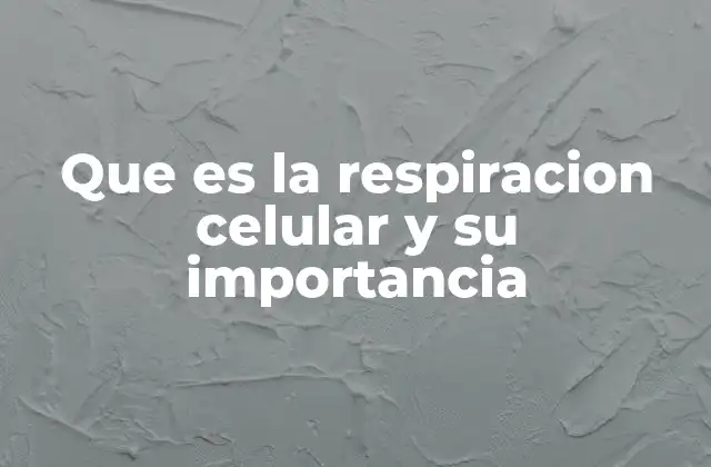 Que es la Respiracion Celular y Su Importancia
