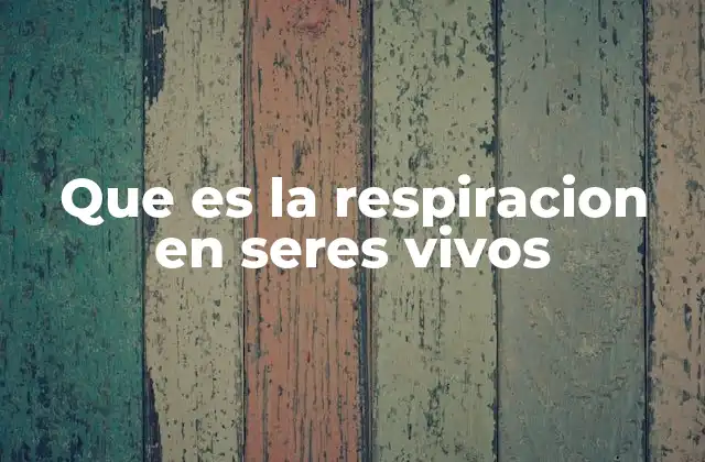 Que es la Respiracion en Seres Vivos