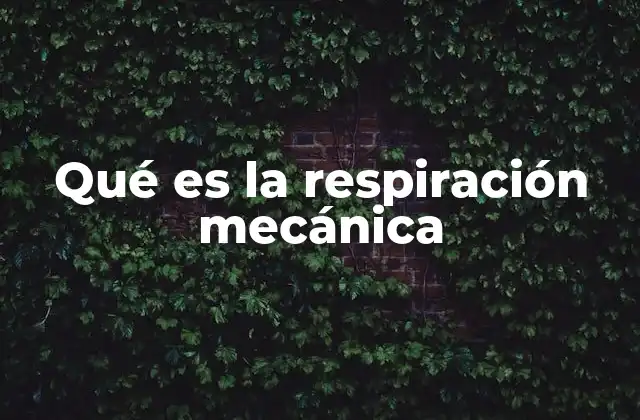 Qué es la Respiración Mecánica
