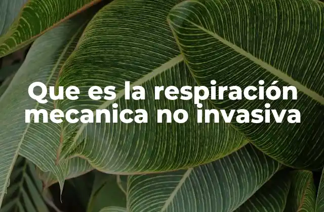 Que es la Respiración Mecanica No Invasiva
