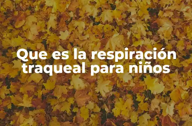 Que es la Respiración Traqueal para Niños