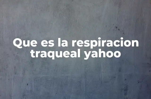 Que es la Respiracion Traqueal Yahoo