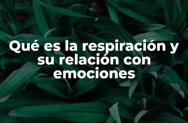 Qué es la Respiración y Su Relación con Emociones