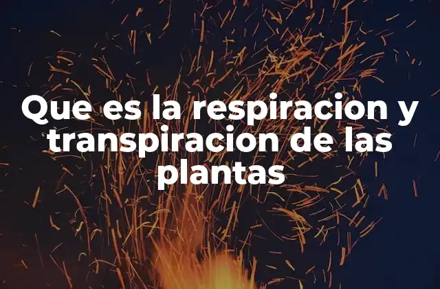 Que es la Respiracion y Transpiracion de las Plantas