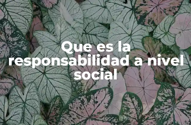 Que es la Responsabilidad a Nivel Social