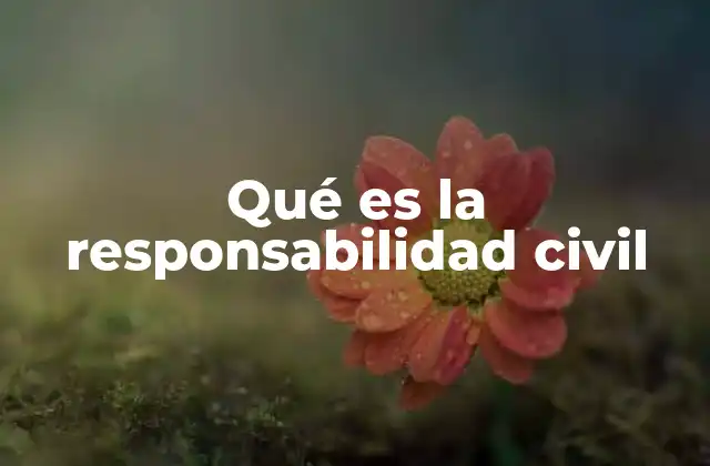 Qué es la Responsabilidad Civil