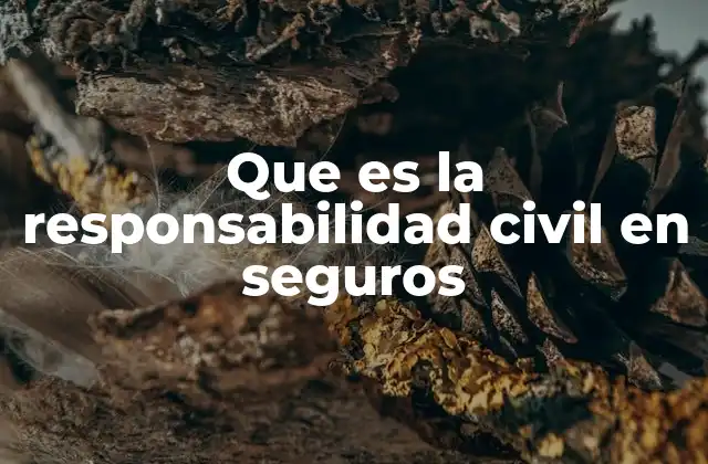 Que es la Responsabilidad Civil en Seguros