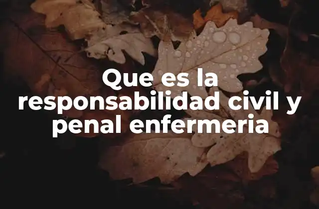 Que es la Responsabilidad Civil y Penal Enfermeria
