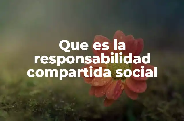 Que es la Responsabilidad Compartida Social