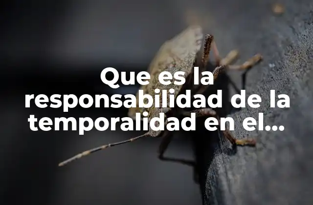 Que es la Responsabilidad de la Temporalidad en el Trabajo