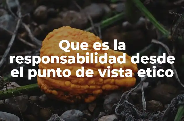 Que es la Responsabilidad desde el Punto de Vista Etico