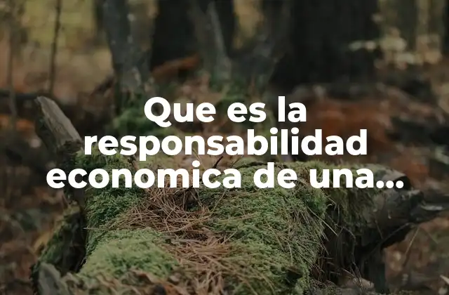 Que es la Responsabilidad Economica de una Auditoria