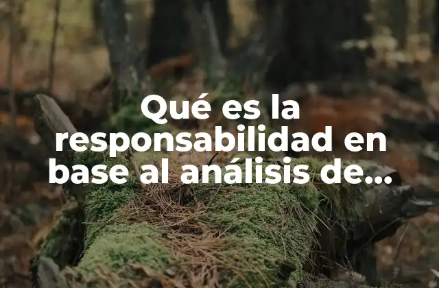 Qué es la Responsabilidad en Base Al Análisis de Puesto