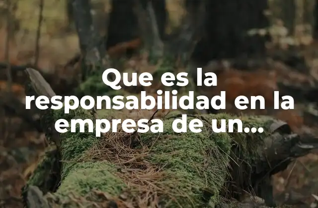 Que es la Responsabilidad en la Empresa de un Trabajador