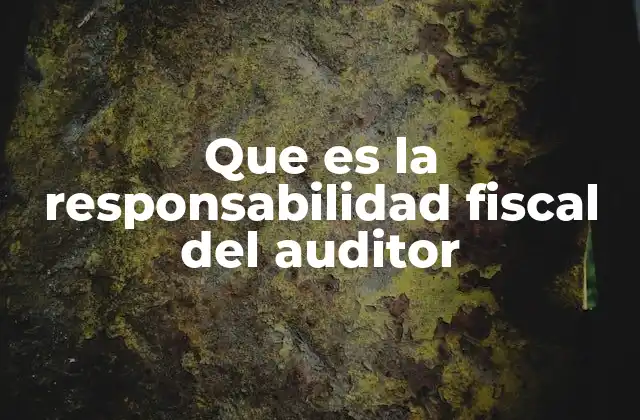 Que es la Responsabilidad Fiscal Del Auditor
