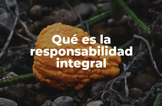 La responsabilidad integral en el desarrollo humano