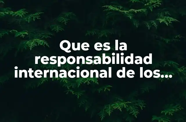 Que es la Responsabilidad Internacional de los Estados