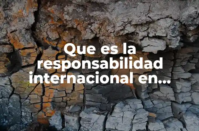 Que es la Responsabilidad Internacional en Derecho Internacional Privado