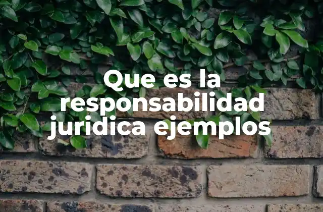 Que es la Responsabilidad Juridica Ejemplos